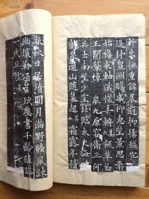 全稱為 大唐故特進(jìn)行右衛(wèi)大將軍兼檢校右羽林軍仗內(nèi)供奉上柱國(guó)卞國(guó)公贈(zèng)并州大都督泉君墓志銘