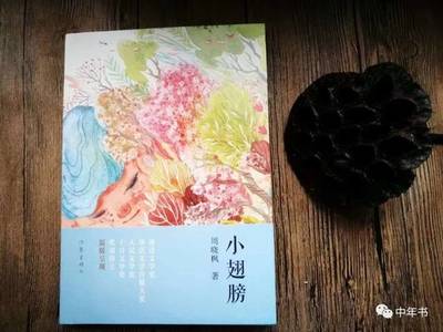 小寒書(shū)事 周曉楓《小翅膀》的故云行