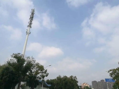 云在青天水波平——北大街街道污染防治百日攻堅(jiān)專項(xiàng)行動(dòng)掠影